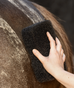 QHP Equi super shiner zwart