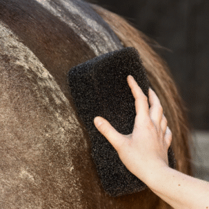 QHP Equi super shiner zwart