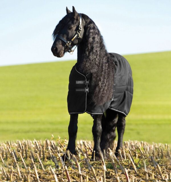 Horseware Rambo Stable 200G - Afbeelding 2
