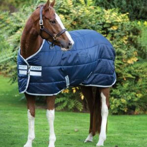 Horseware Amigo Insulator (200G medium)