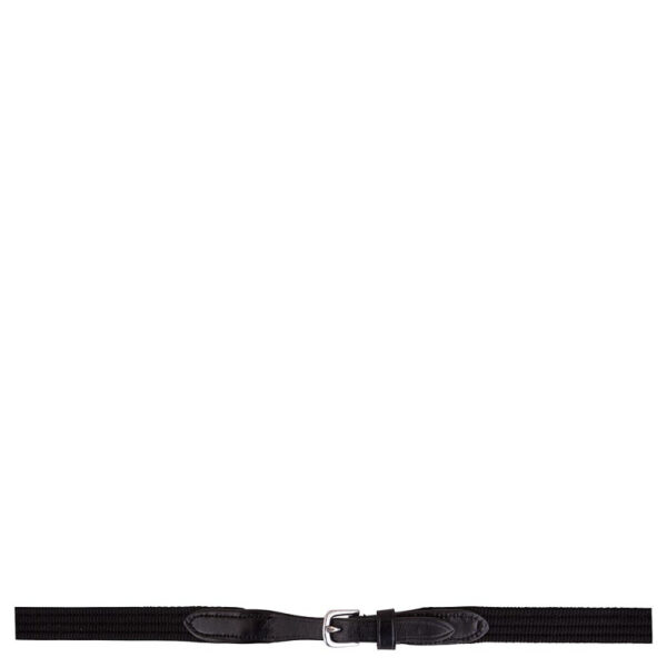 BR Web reins 19mm - Afbeelding 2