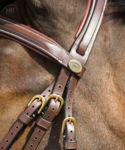 Alternative view of HFI Hoofdstel comfort