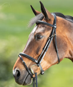 HFI Hoofdstel comfort