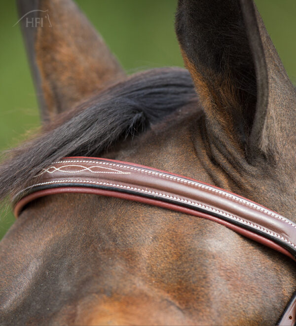 HFI Hoofdstel comfort - Afbeelding 4