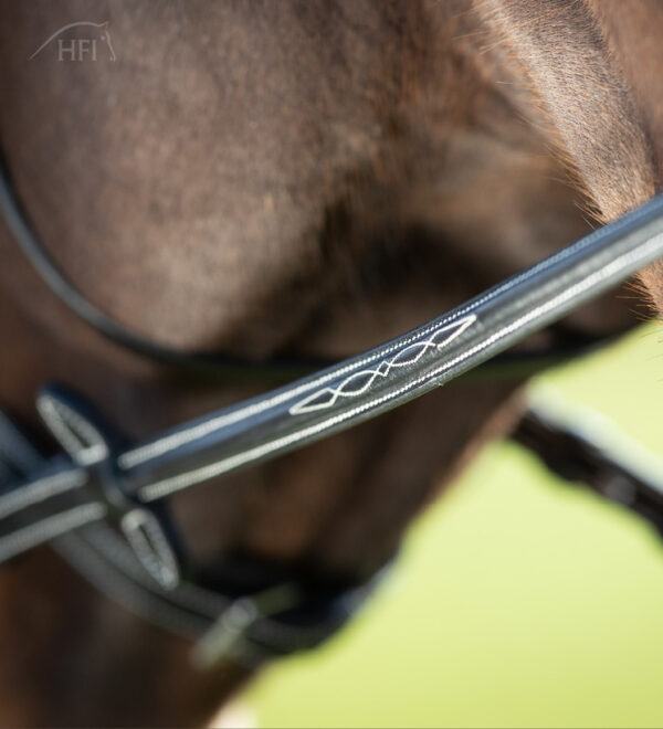 HFI Hoofdstel comfort - Afbeelding 5