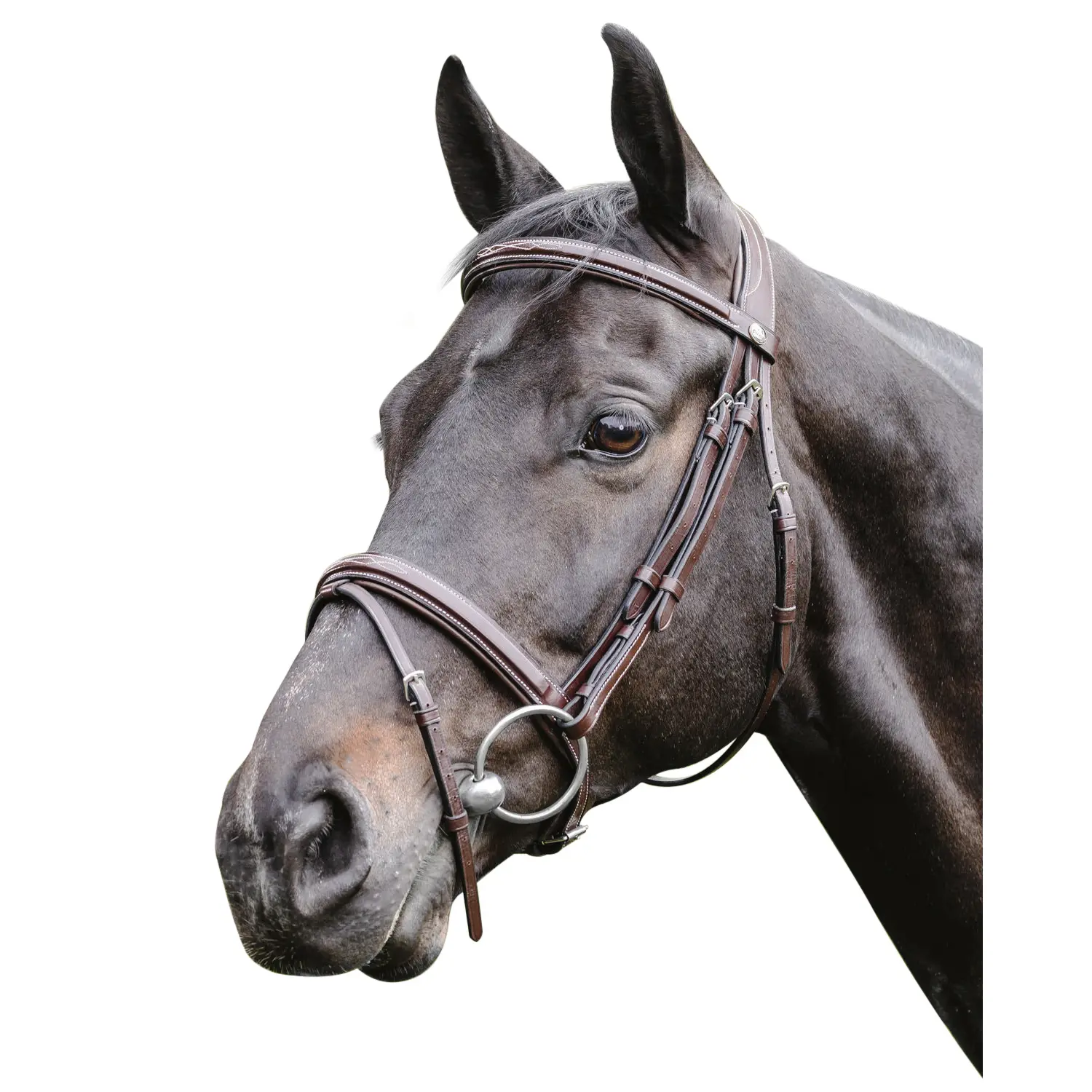 Prestige Fancy Raised Bridle - Afbeelding 2