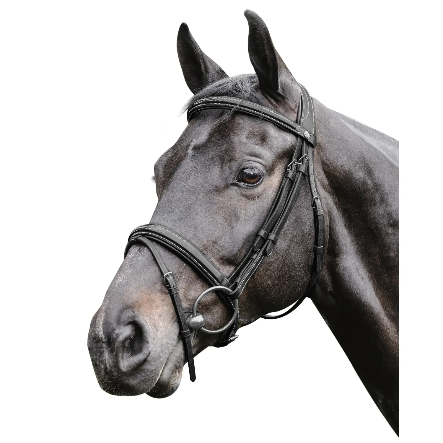Prestige Fancy Raised Bridle - Afbeelding 3