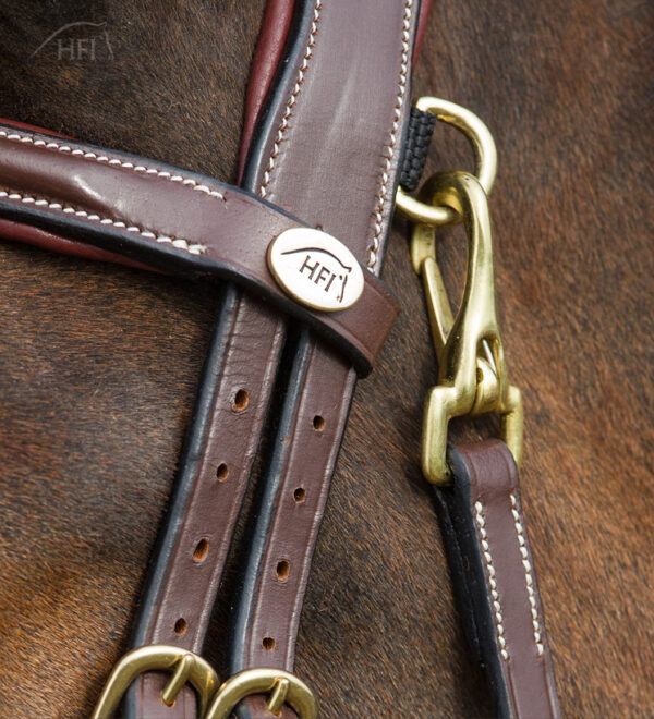 HFI Hoofdstel Functional - Afbeelding 2