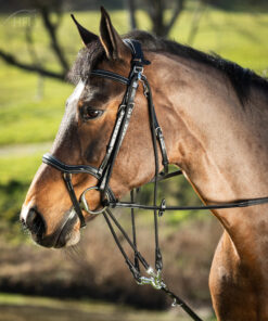 Alternative view of HFI Gogue