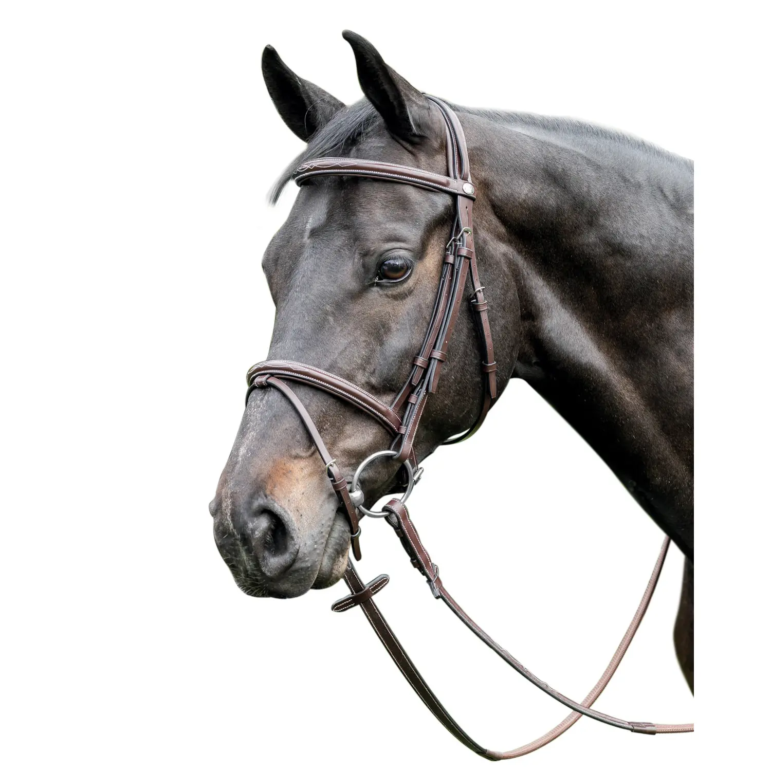 Prestige Leather Raised Bridle 3E037 - Afbeelding 2