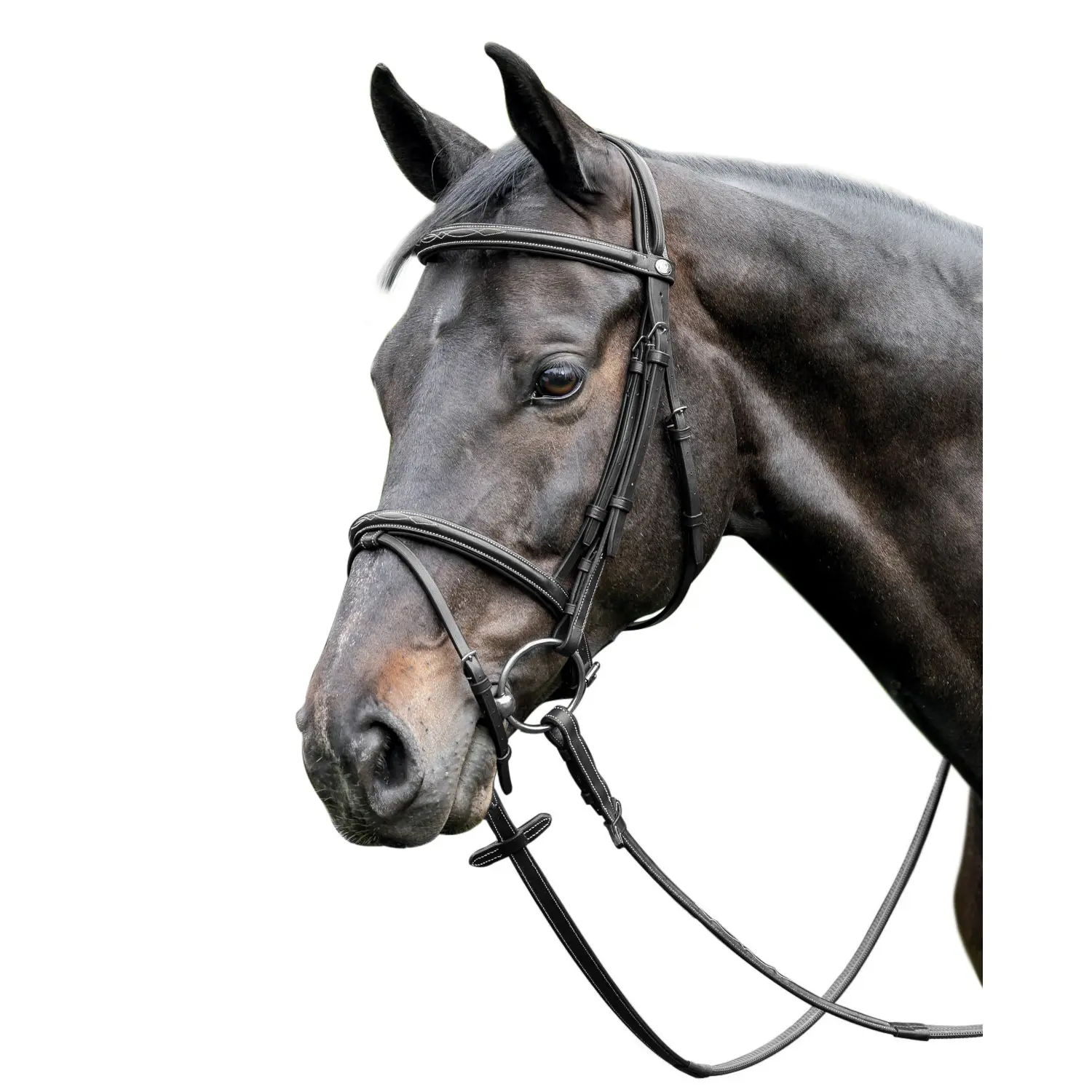 Prestige Leather Raised Bridle 3E037 - Afbeelding 3