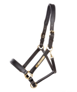 Kavalkade Halster leer Cinta