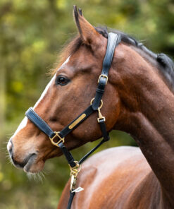 Alternative view of Kavalkade Halster leer Cinta