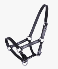 QHP Veulenhalster Chico full