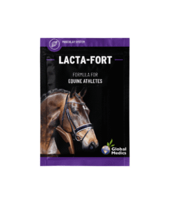 Global Medics Lacta-Fort