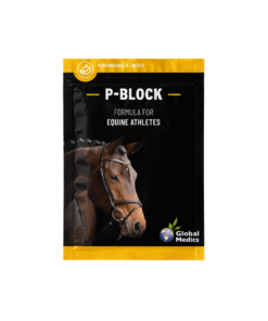 Global Medics P-Block