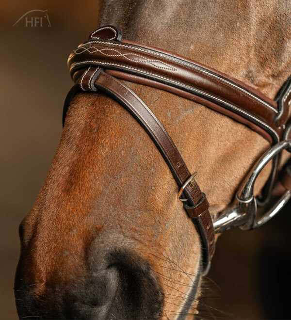 HFI Pro Line Hoofdstel Milano - Afbeelding 3