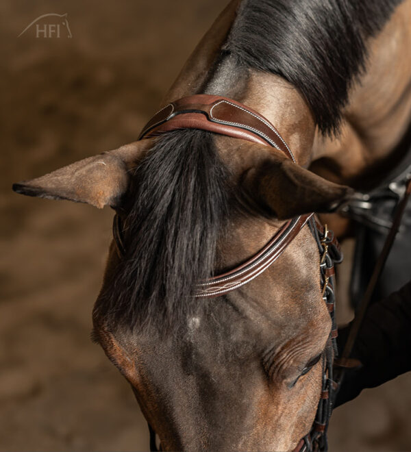 HFI Pro Line Hoofdstel Milano - Afbeelding 2