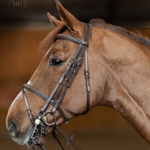 HFI Stang en trens Double Jump