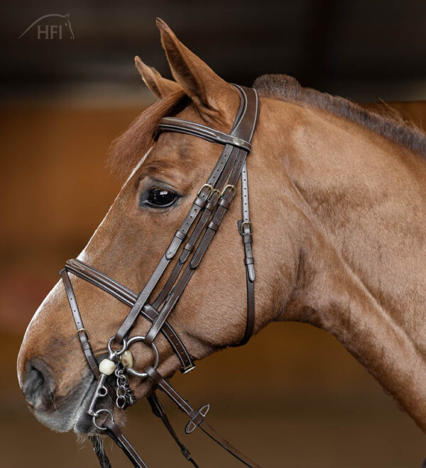 HFI Stang en trens Double Jump