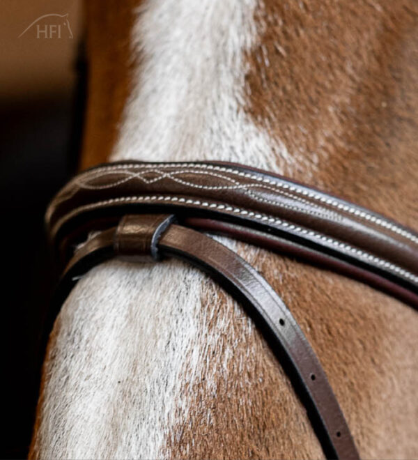 HFI Stang en trens Double Jump - Afbeelding 3