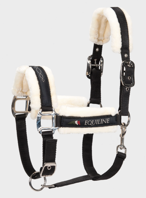 Equiline Tom Halter