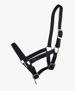 QHP Veulenhalster zwart