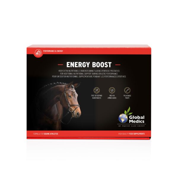 Global Medics Energy Boost 6x60gr
