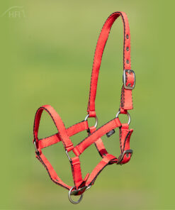 HFI Veulenhalster nylon