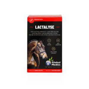 Global Medics Lactalyse 400ml