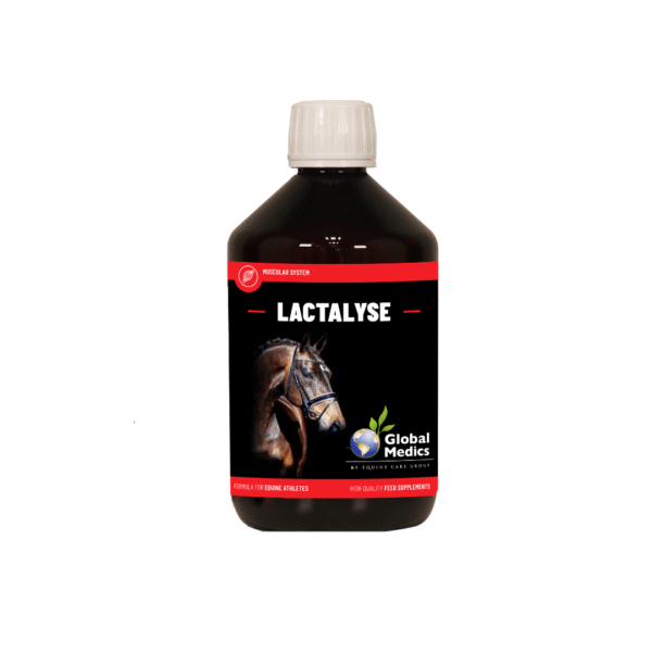 Global Medics Lactalyse 400ml - Afbeelding 2