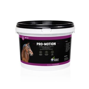 Global Medics Pro Motion