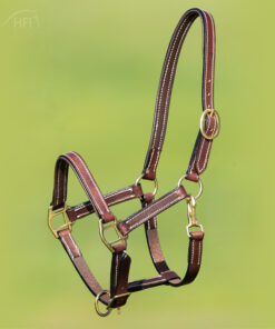 HFI Veulenhalster leer