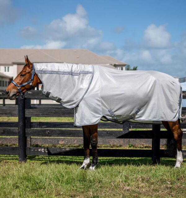 Horseware Amigo Bug Rug Plus Fly Sheet