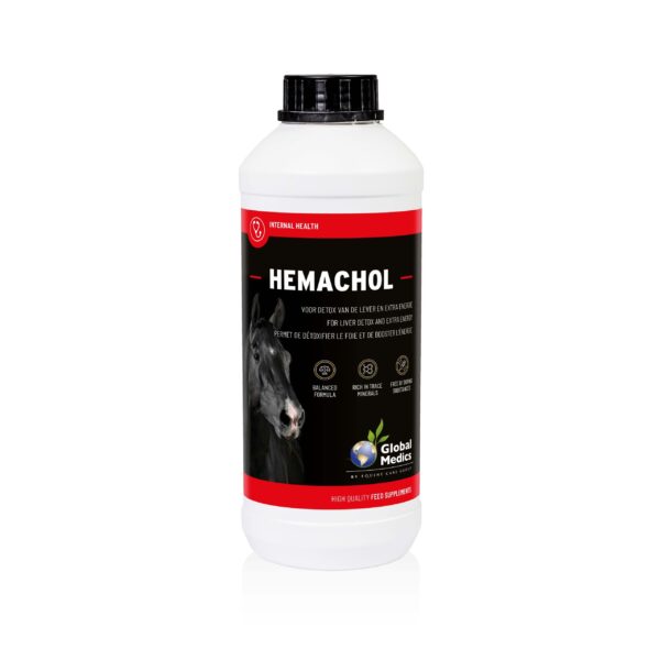 Global Medics Hemachol 1L