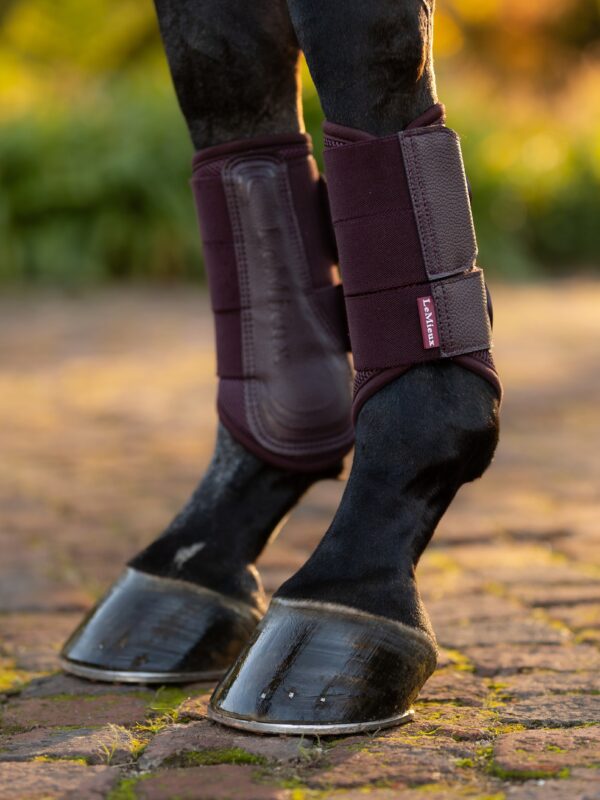 AW25 LeMieux Arika Mesh Brushing boots - Afbeelding 2
