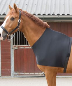 Harry's Horse Borstbeschermer Elastic
