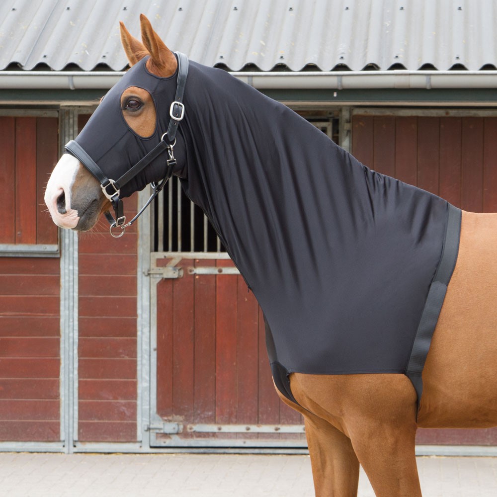Harry's Horse Borstbeschermer/hood Elastic