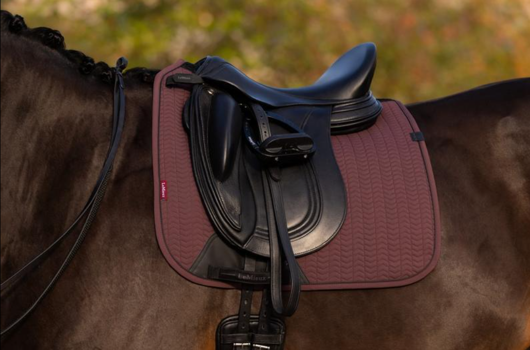 AW25 LeMieux Essence Dressage Square