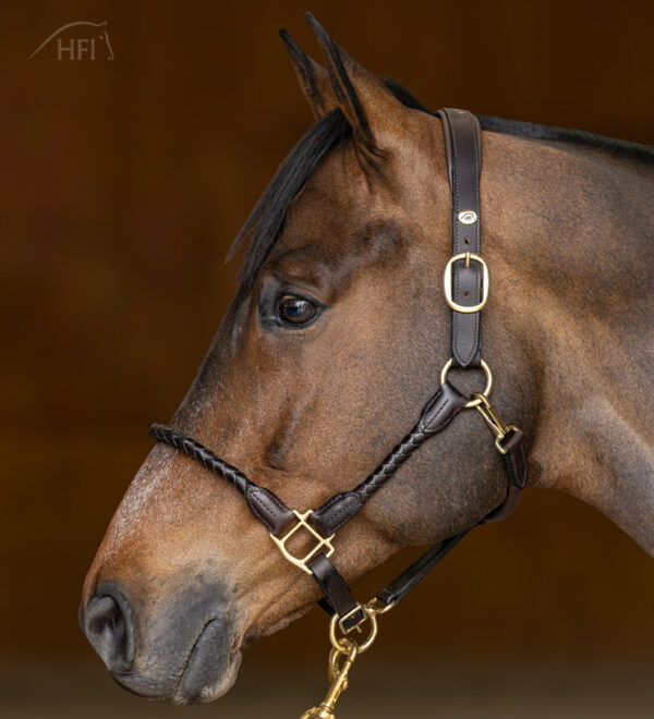 HFI halster braided - Afbeelding 2