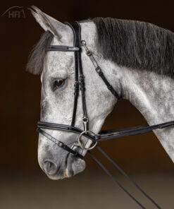 Alternative view of HFI Slofteugel in leder met koord