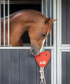 Alternative view of QHP Paardenspeelgoed Appel