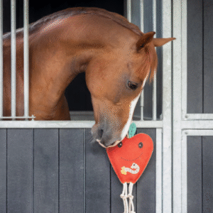 Alternative view of QHP Paardenspeelgoed Appel