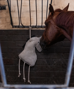 Alternative view of QHP Paardenspeelgoed Paard