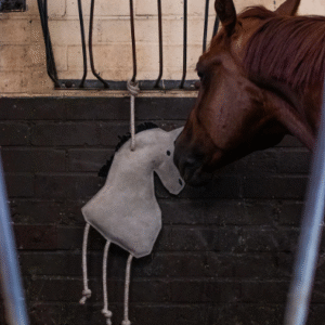 Alternative view of QHP Paardenspeelgoed Paard