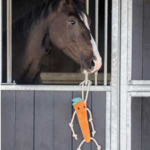 Alternative view of QHP Paardenspeelgoed Wortel