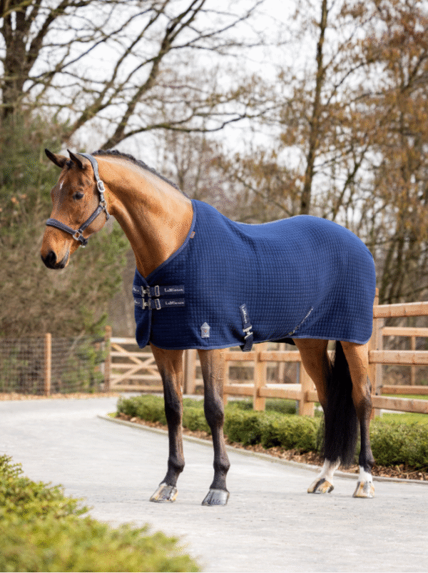 LeMieux Arika Clima Tek Rug