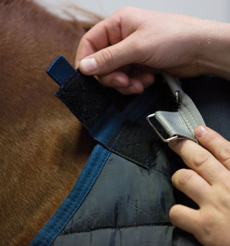 Horseware Liner 200gr - Afbeelding 3