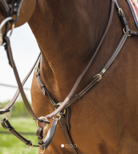 HFI Martingaal Long Bridge