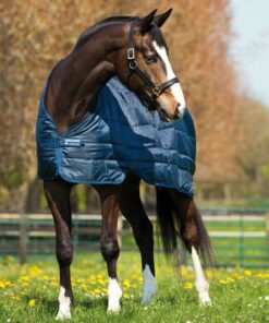 Horseware Liner 100gr